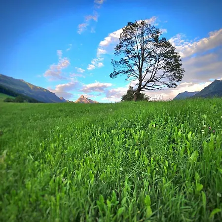 Berggasthaus Steinerkogl 3*