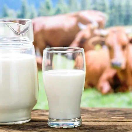 Berggasthaus Steinerkogl 3* Brandberg